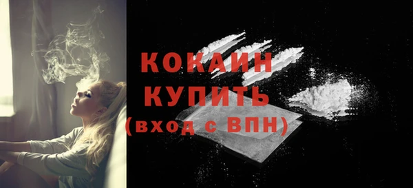 ГАЛЛЮЦИНОГЕННЫЕ ГРИБЫ Тайга
