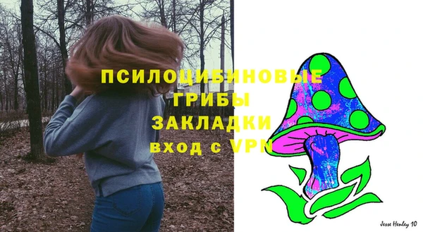 МДМА Козловка