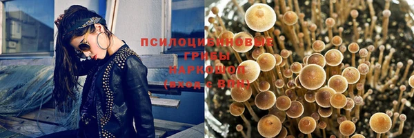 МДМА Козловка
