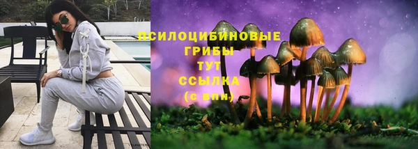 МДМА Козловка