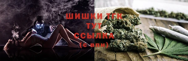 PSILOCYBIN Сясьстрой