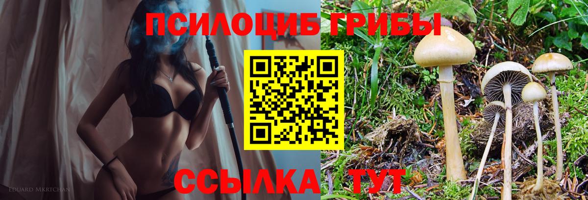 Старый Оскол  Галлюциногенные грибы Magic Shrooms  Галлюциногенные грибы Magic Shrooms  Вход с VPN 